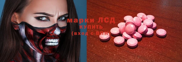 стаф Дмитров