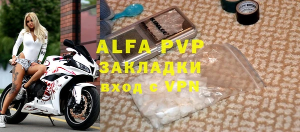 стаф Дмитров
